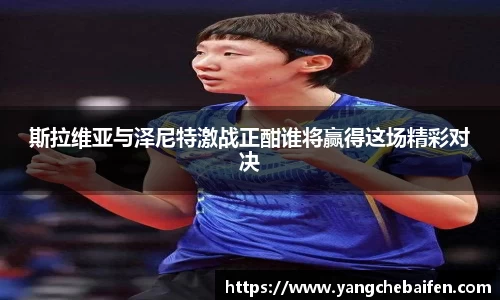 zoty中欧