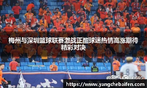 zoty中欧官方app下载